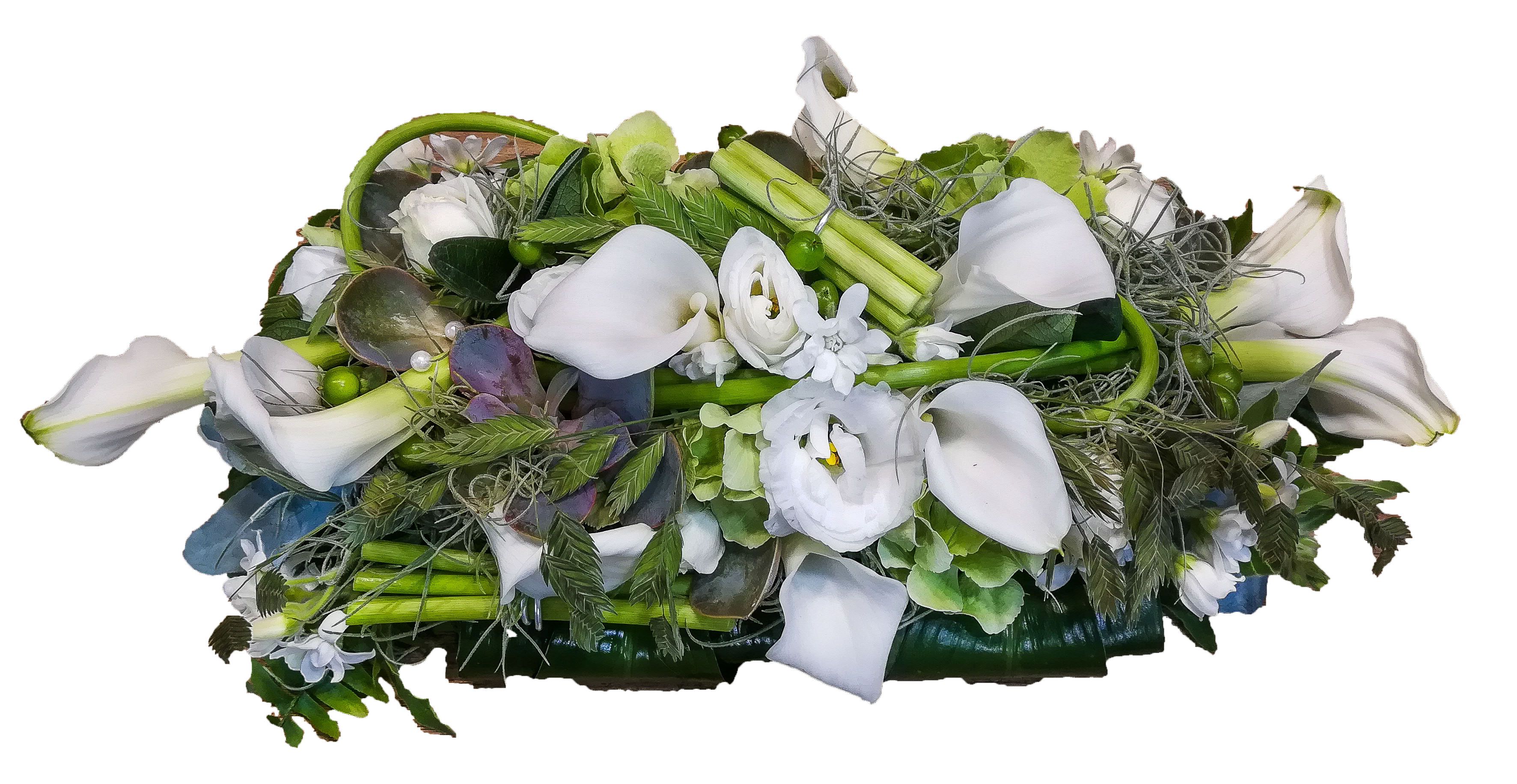 fleur fond blanc mort site .2