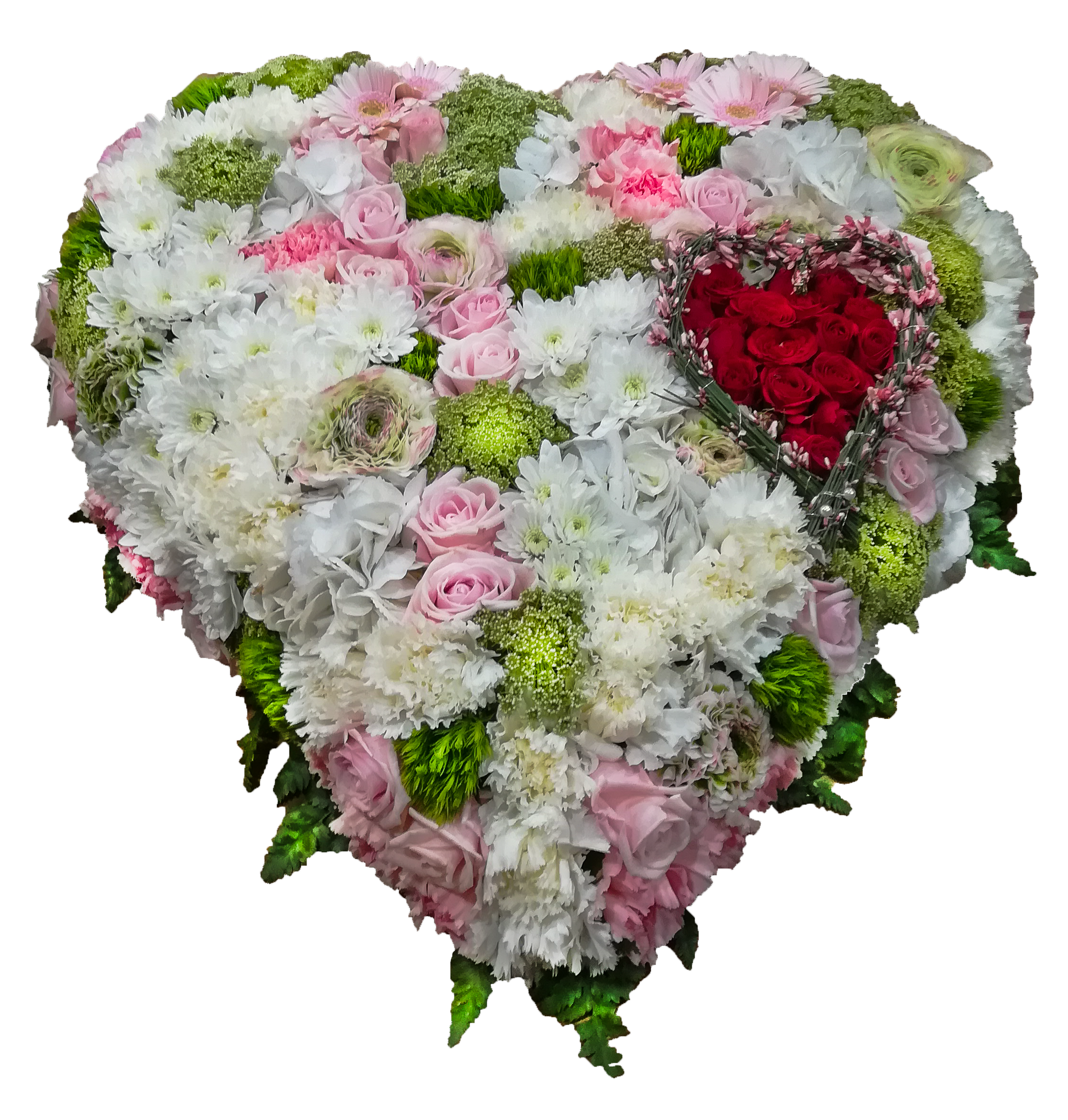 fleur fond blanc mort site 6 juste.2