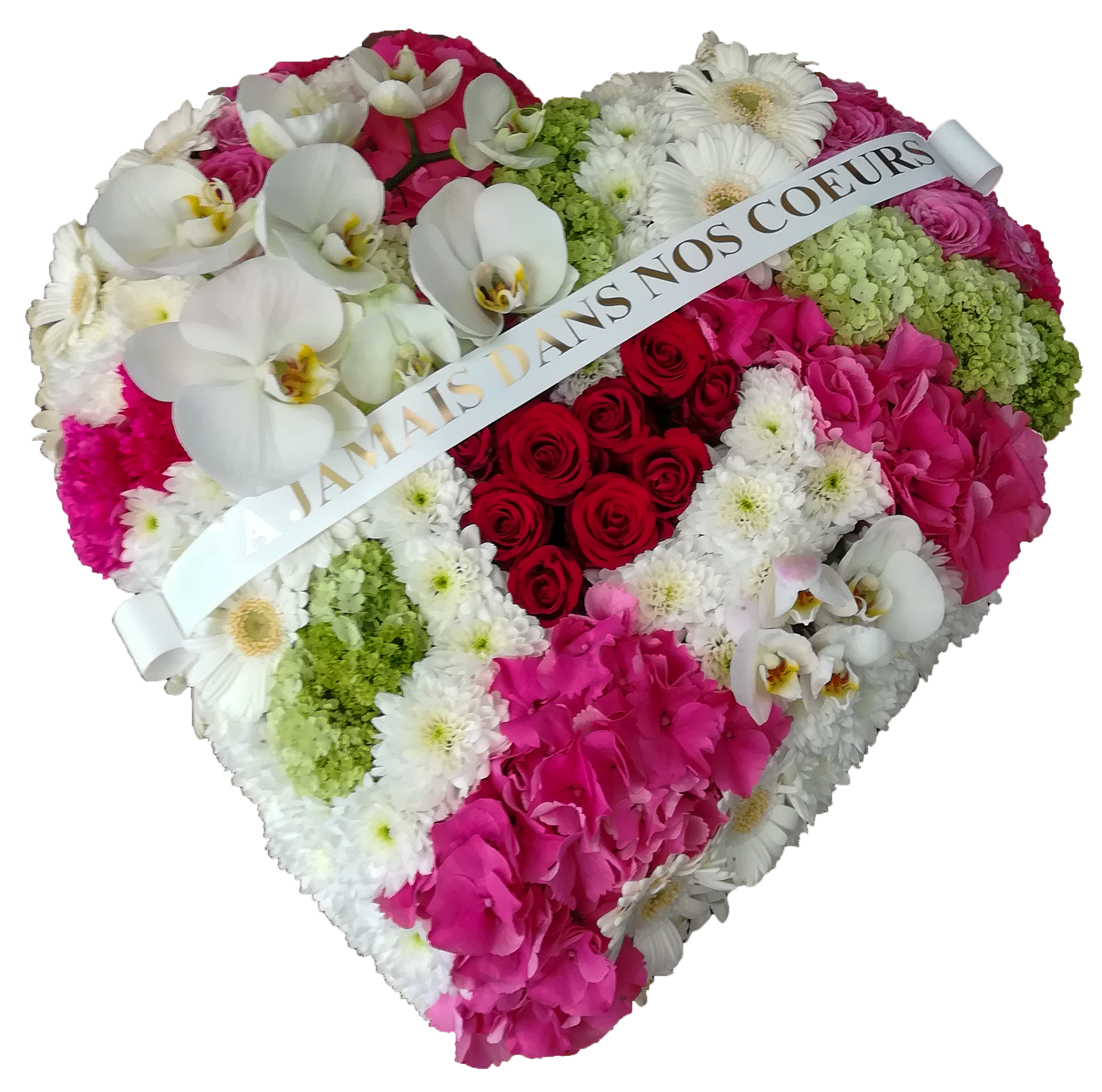 fleur fond blanc mort site.2